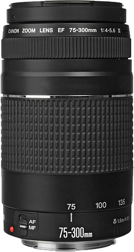 Canon EOS 250D / Rebel SL3 DSLR Camera w/EF-S 18-55mm F/4-5.6 STM Zoom Lens + 75-300mm F/4-5.6 III Lens + 420-800mm Super Telephoto Lens + 64GB Memory, Case, Tripod, Flash (38pc Bundle), Brand New - Image 4